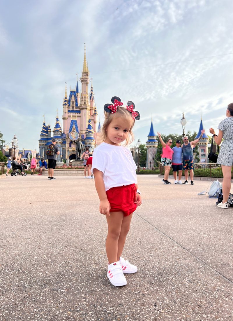 Planning Our Disney World Trip with a Teenager and a Toddler
